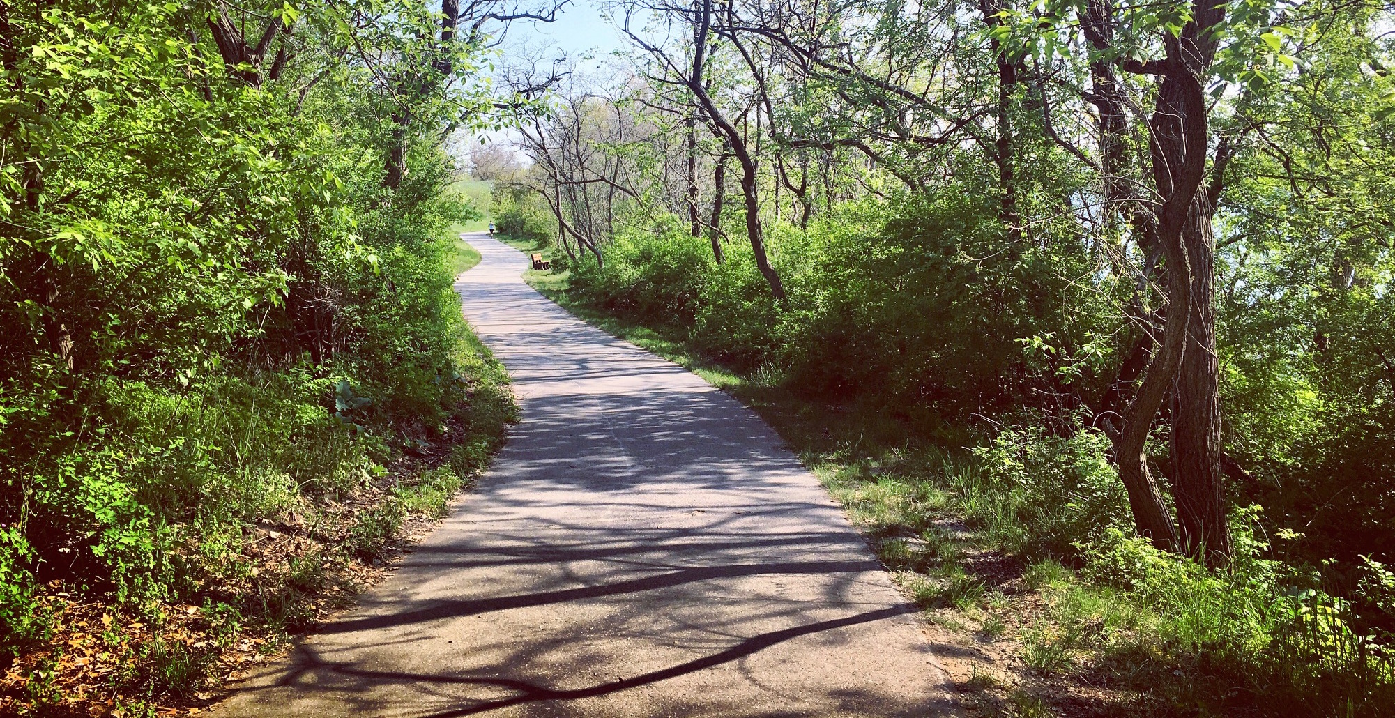 boardman trail bike