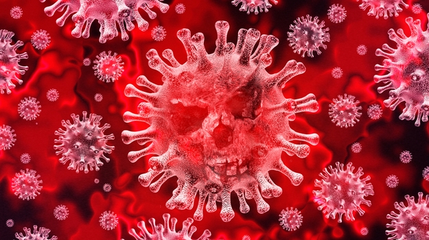 Znalezione obrazy dla zapytania: coronavirus