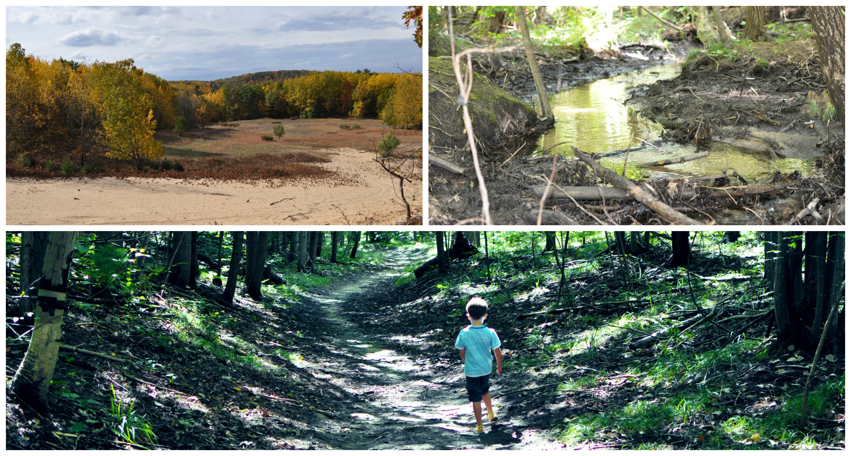 woodlands preserve upper providence township