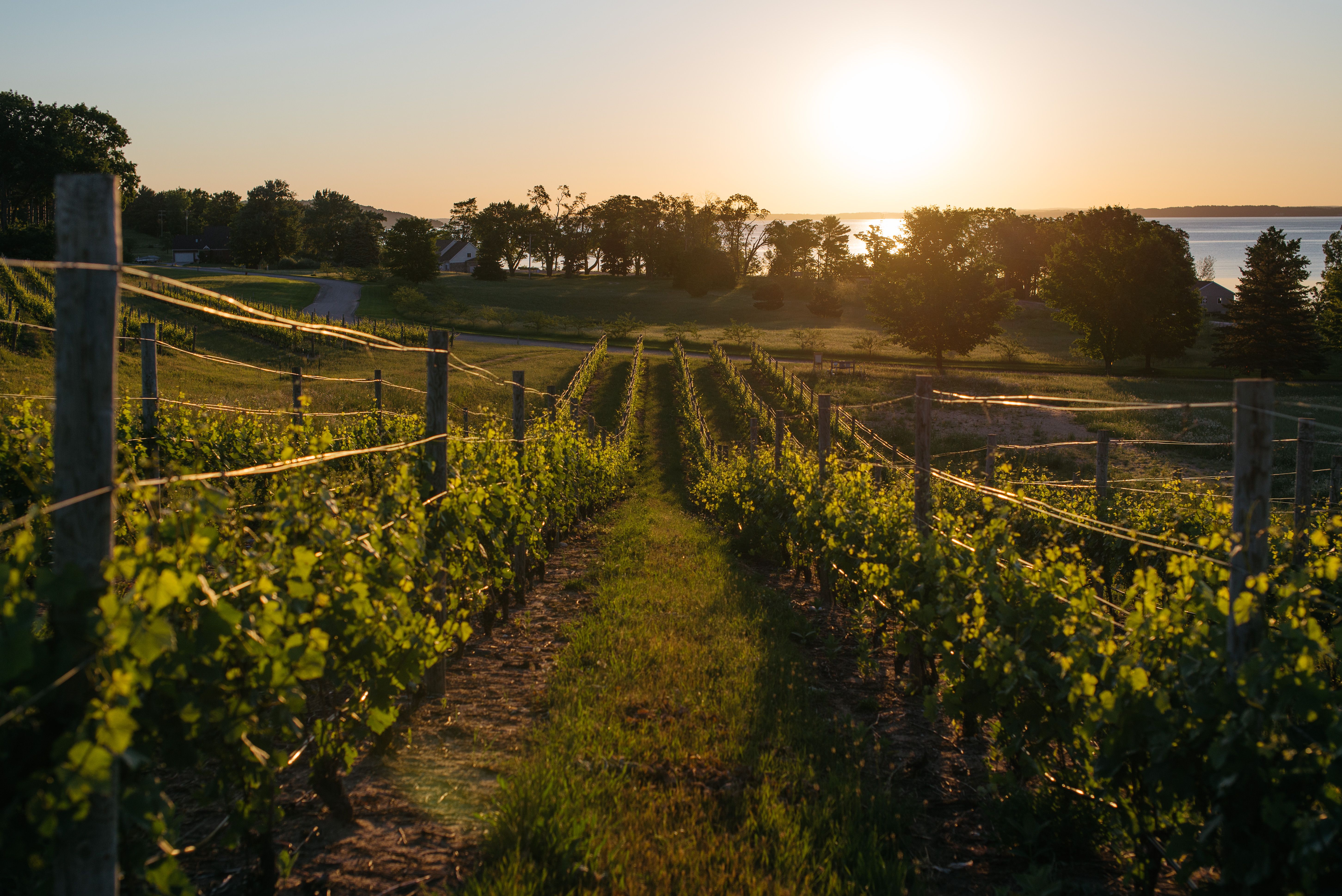 Old shop mission winery