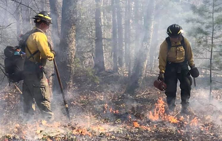 First Prescribed Burn In Sleeping Bear Conducted 