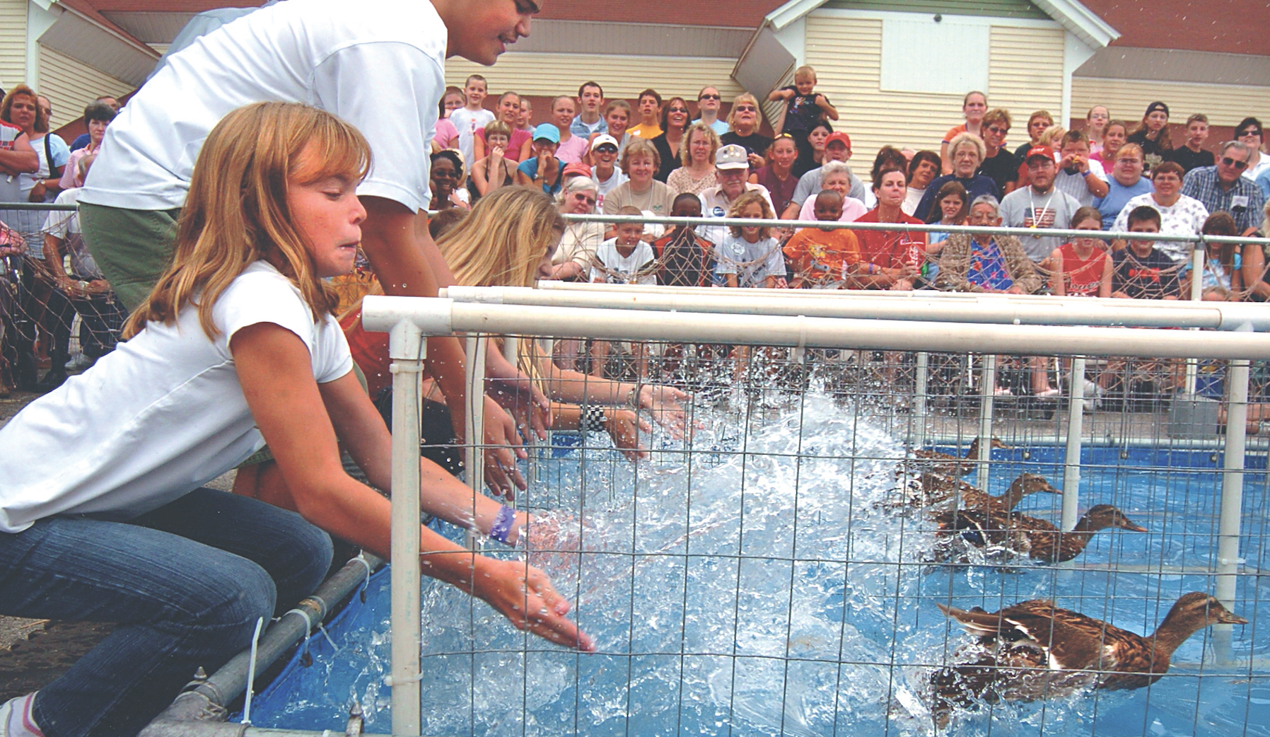 Great Pootatuck Duck Race Chair: The Race Will Go On, Rain Or