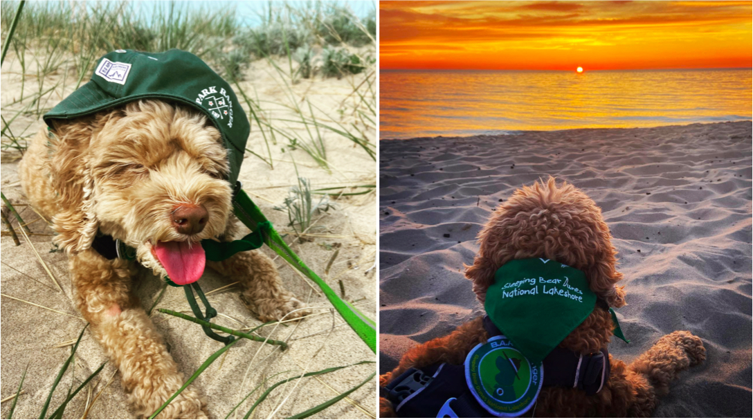 BARK Ranger - Friends of Sleeping Bear Dunes